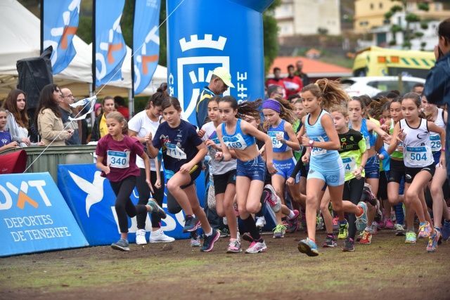 Campo a través 2015-16 (foto 44)