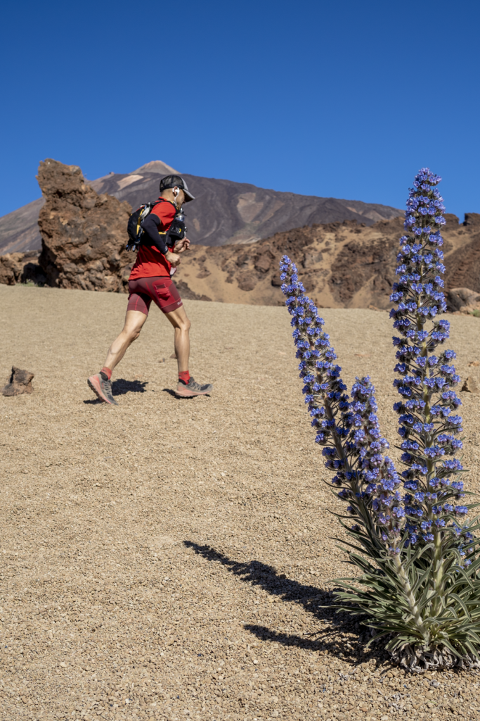 La Tenerife Bluetrail dará el pase para el Campeonato del Mundo Ultra