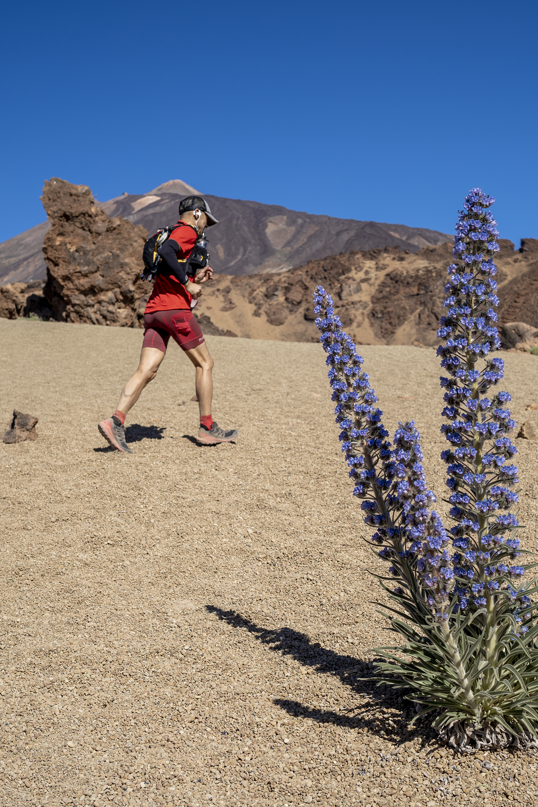 La Tenerife Bluetrail dará el pase para el Campeonato del Mundo Ultra