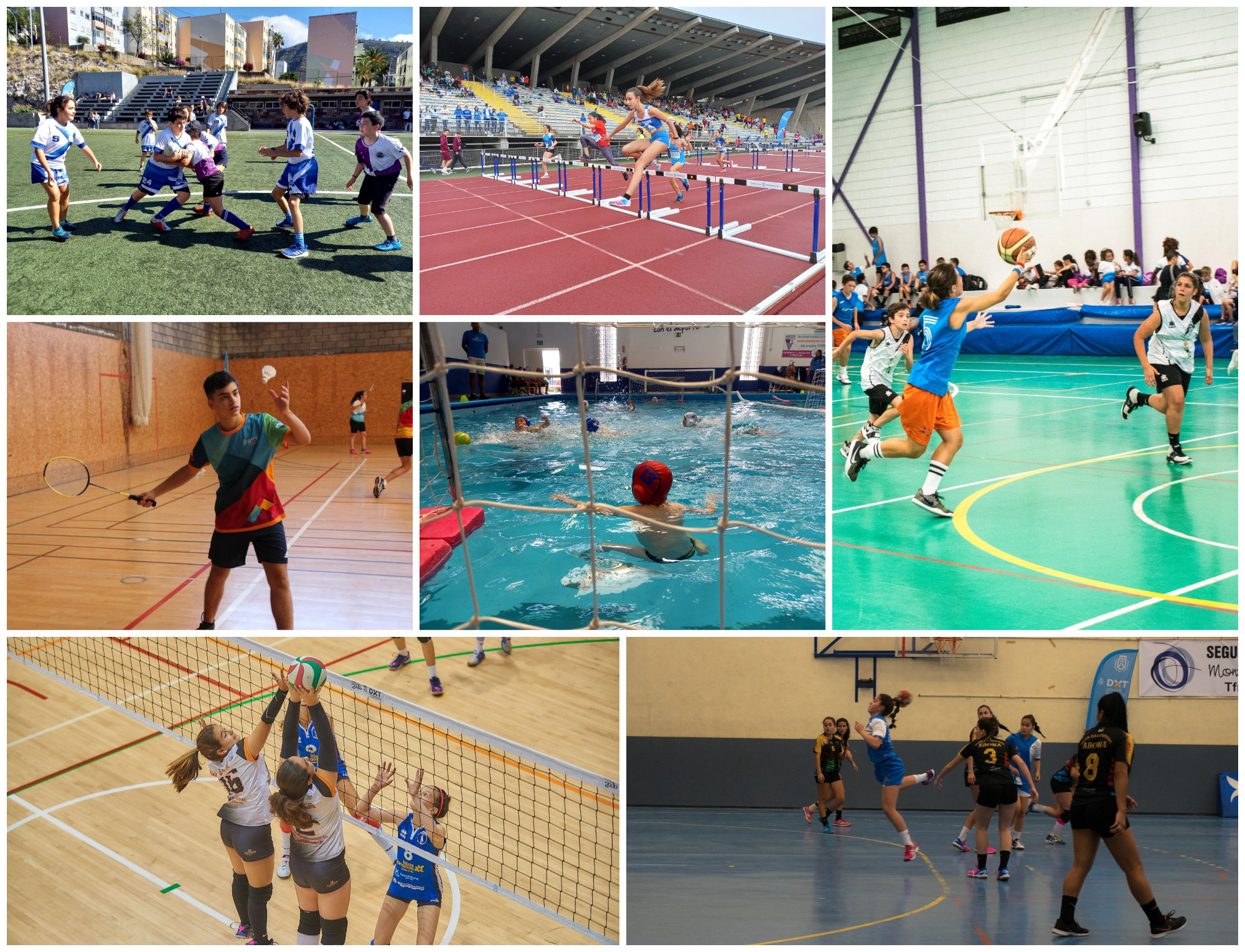 Siete disciplinas protagonizan este sábado la actividad deportiva de los Juegos Cabildo Siete disciplinas protagonizan este sábado la actividad deportiva de los Juegos Cabildo