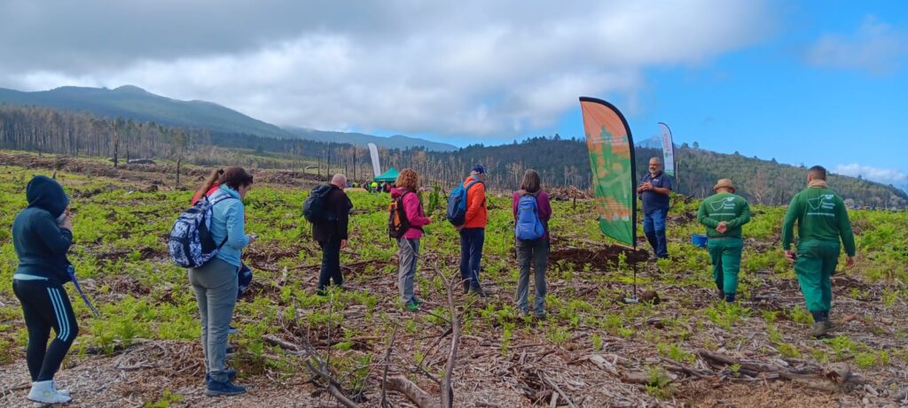 20260204 voluntariado bluetrail