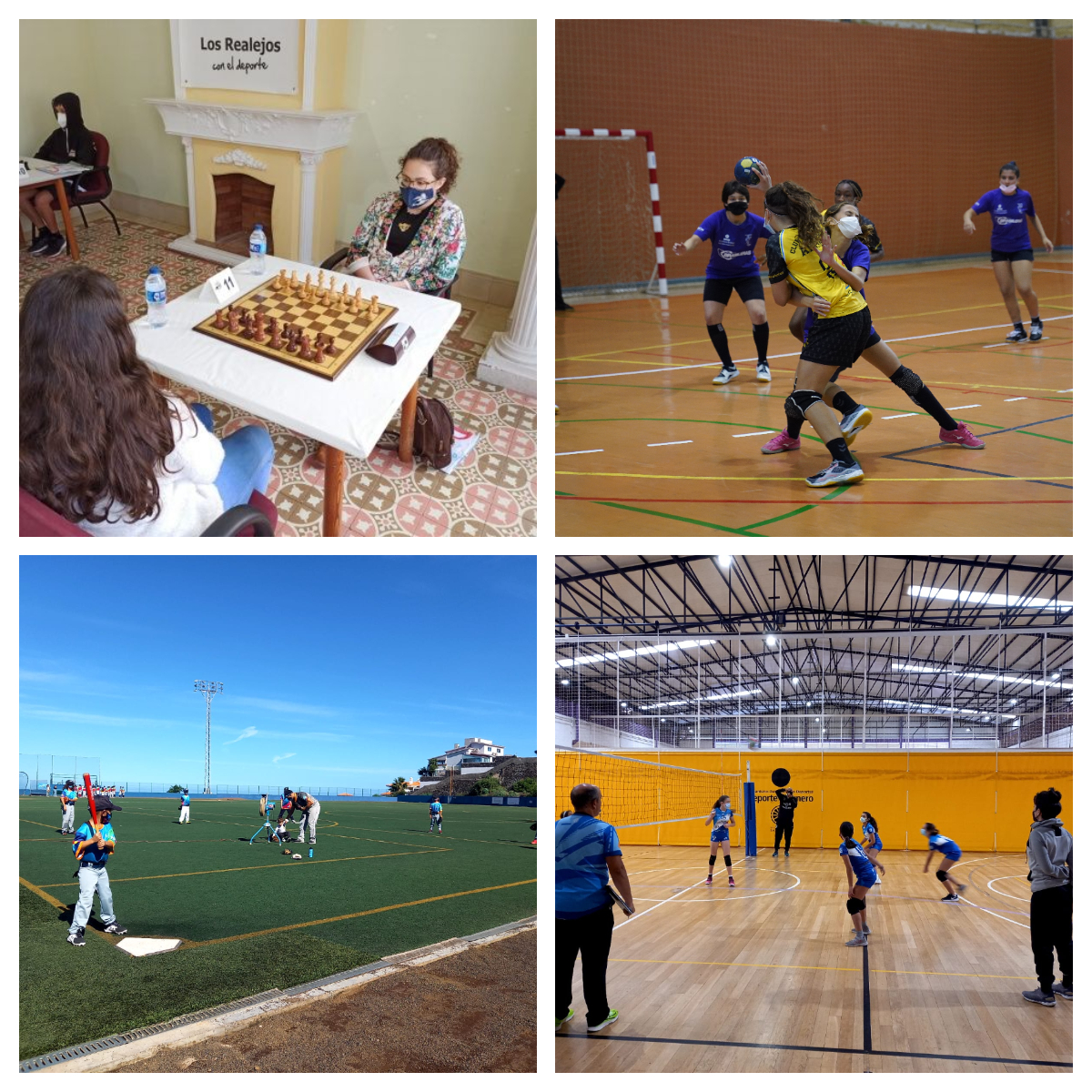 La modalidad de Ajedrez celebra su actividad en la Casa Parra en Icod El Alto (Los Realejos)