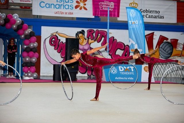 Gimnasia rítmica 2016-2017 Final conjuntos (foto 18)