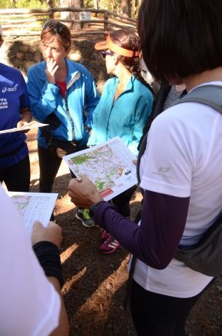 Orientación 2016 (foto 13)
