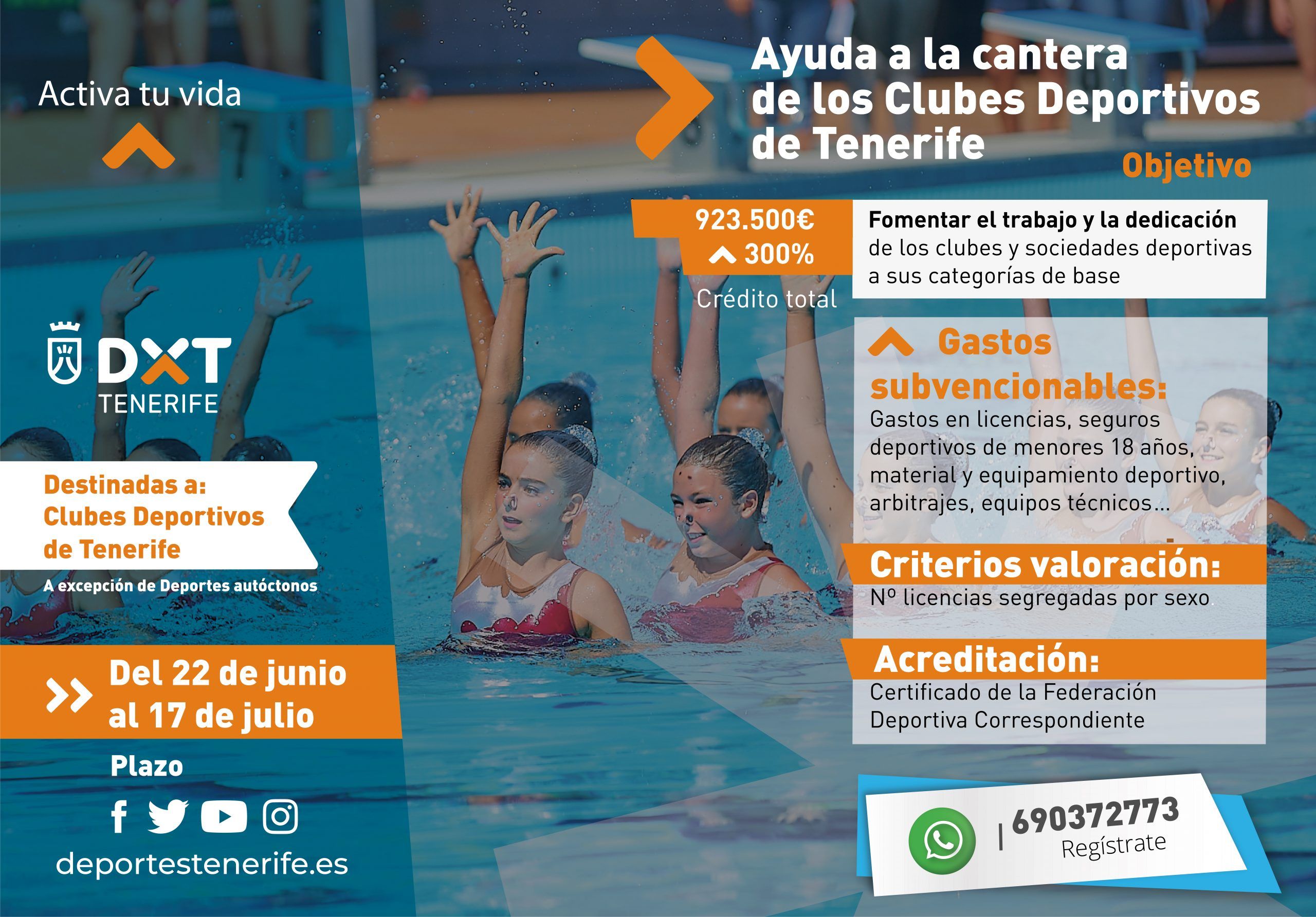 El Cabildo de Tenerife aprueba las bases y convocatoria de las subvenciones destinadas a la Ayuda a la Cantera de los Clubes Deportivos de Tenerife (foto 2)