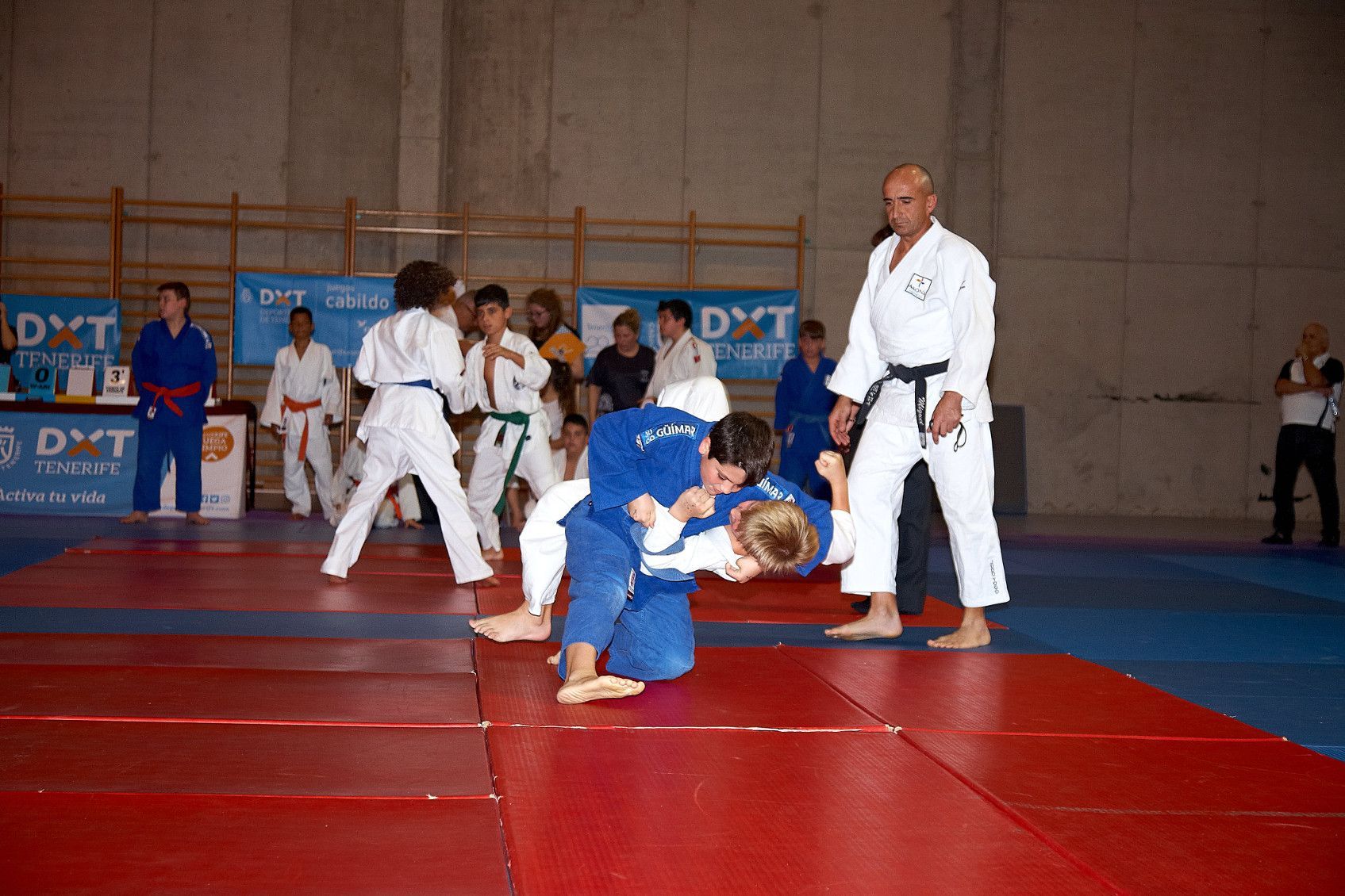 XXX Juegos Cabildo de Tenerife: Finales Insulares de Judo alevín, infantil y cadete