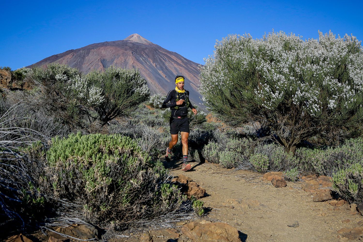 Yeray Durán y Leire Martínez se anotan el triunfo de la Ultra de la Fred. Olsen Tenerife Bluetrail 2019 (foto 1)