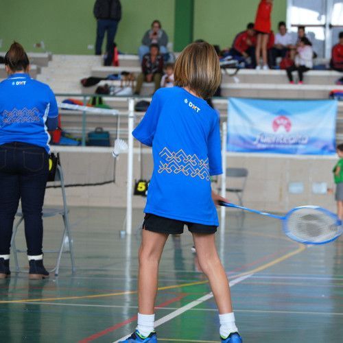 Tras la cancelación del pasado fin de semana, el bádminton debuta en El Sauzal