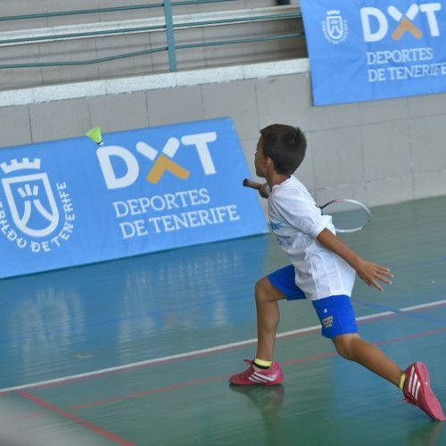 badminton1
