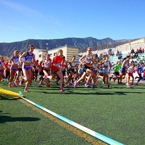 Llegó el momento: la final insular de campo a través