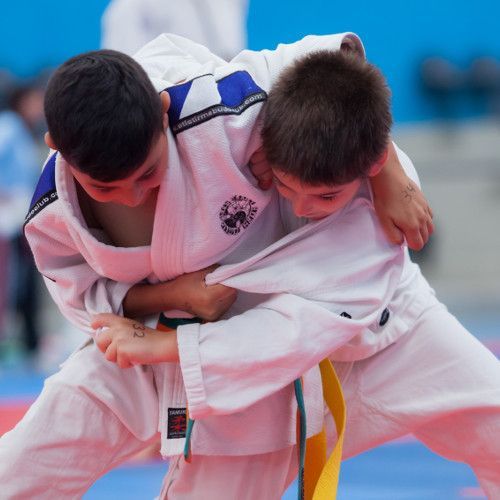 judo1