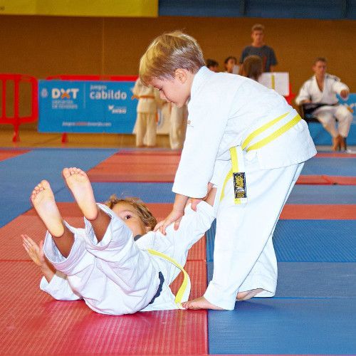 El Pabellón de Deportes de El Viso acoge la cuarta jornada de judo