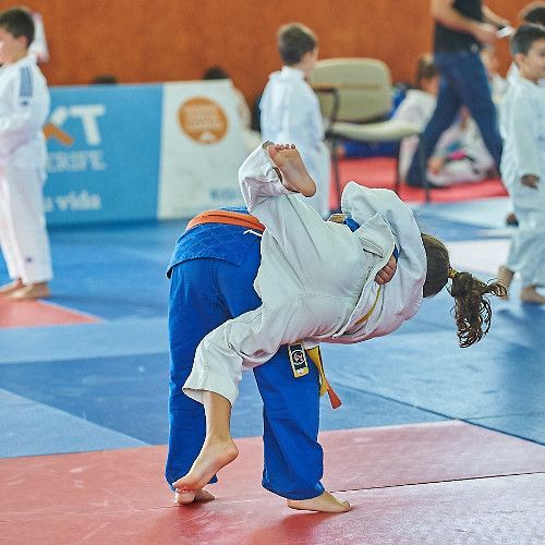 El judo prebenjamín y benjamín protagoniza la séptima jornada de la competición