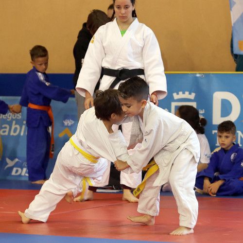 Los equipos alevines ponen el broche final a la temporada de judo en Güímar