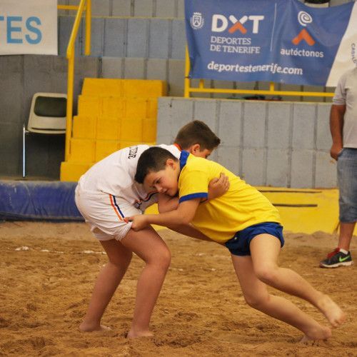 La lucha canaria, paso a paso hacia la final