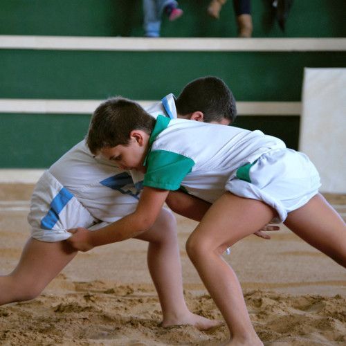Última oportunidad de puntuar para los equipos de lucha canaria
