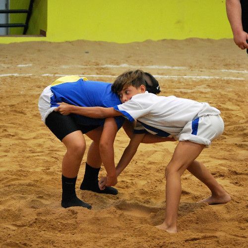 Los alevines de lucha canaria, a por la final el 27 de mayo