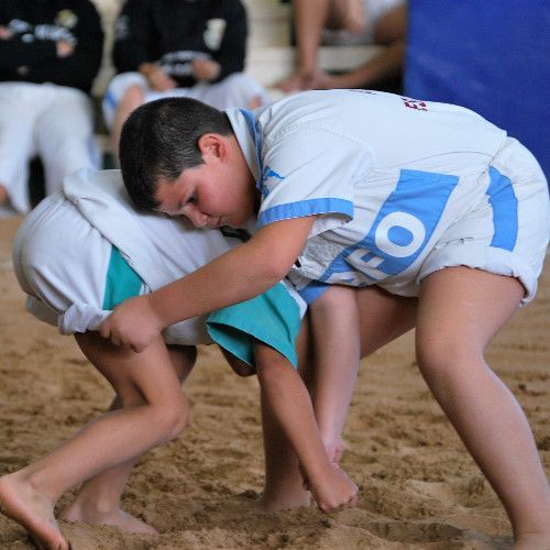 A seguir en la brega: más lucha canaria