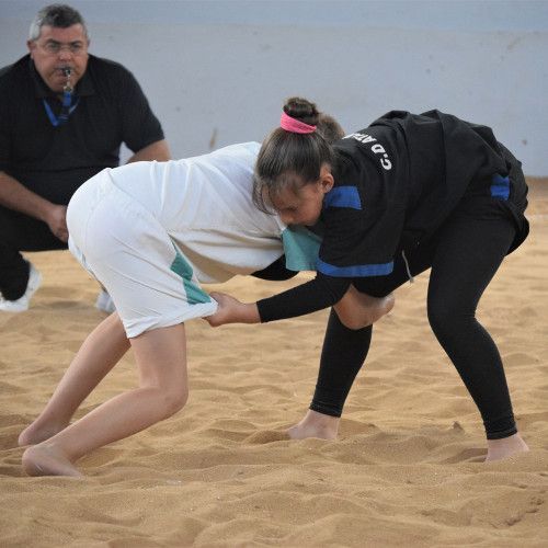 La decimocuarta jornada de lucha canaria salta a los terreros este sábado