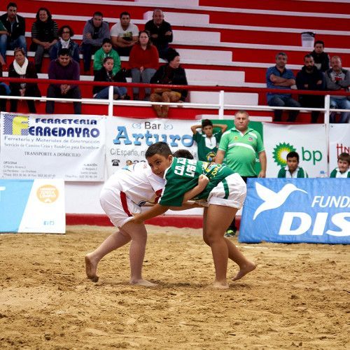 La decimoséptima jornada de lucha canaria dará paso a las finales por categorías
