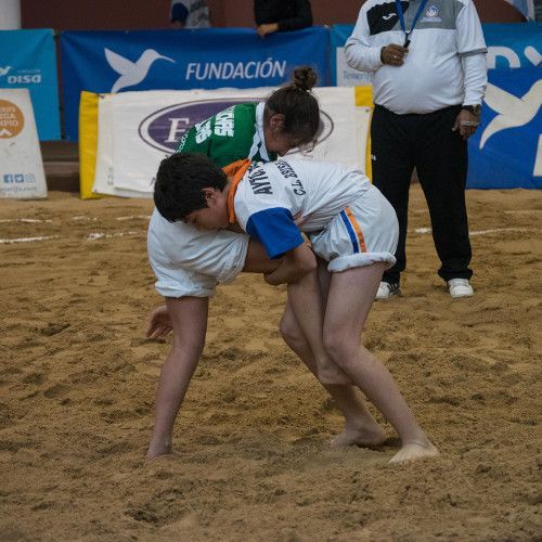 Vuelve la lucha canaria a los terreros tras el descanso navideño