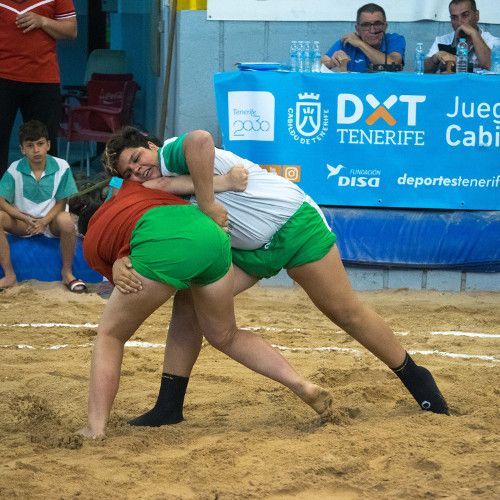 Medio millar de luchadores y luchadoras se lucirán en los terreros este sábado