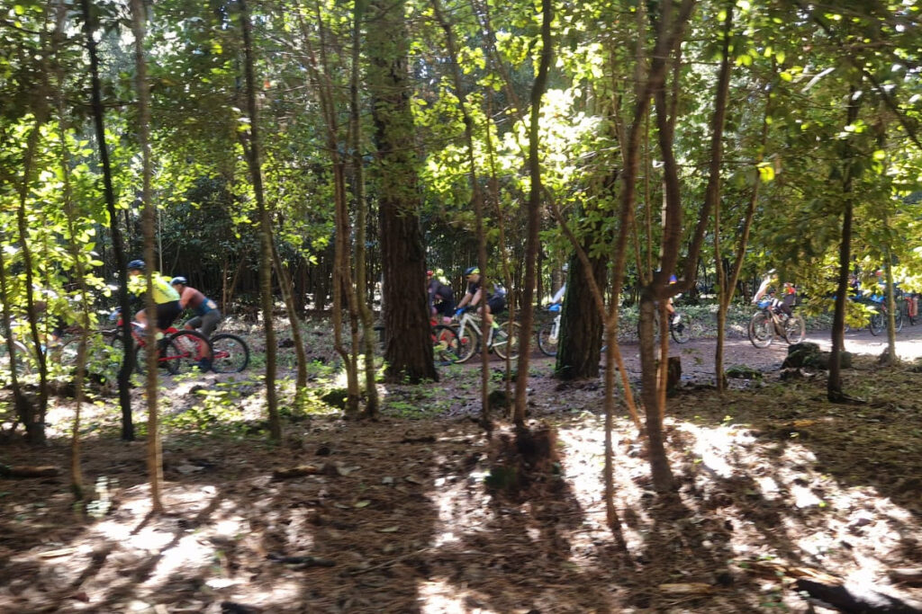 La Esperanza acoge la jornada final de cicloturismo BTT máster (foto 2)
