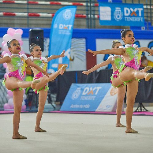 Atención al plazo de inscripción de gimnasia rítmica conjuntos y diver-rítmica