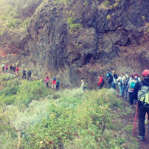 El 23 de abril tienes una nueva cita con el senderismo: ruta Vilaflor – Ifonche
