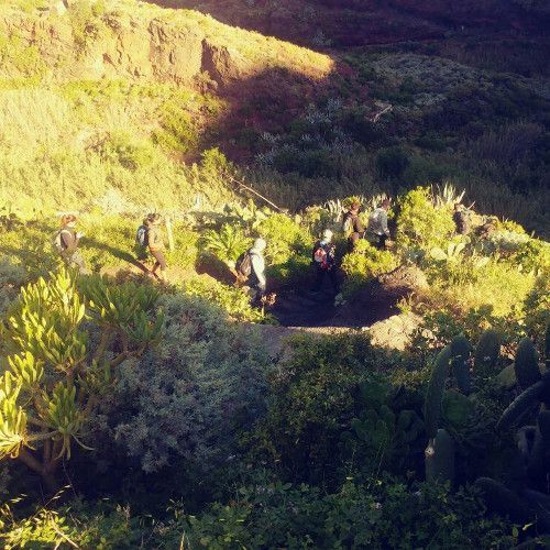 Última ruta de senderismo máster: El Palmar – Buenavista