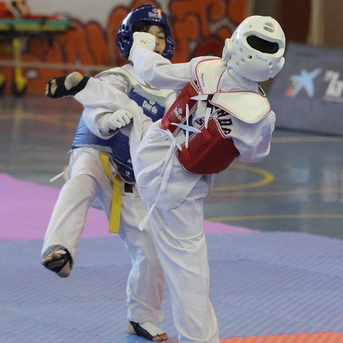 Jornada lúdica de taekwondo en Granadilla de Abona