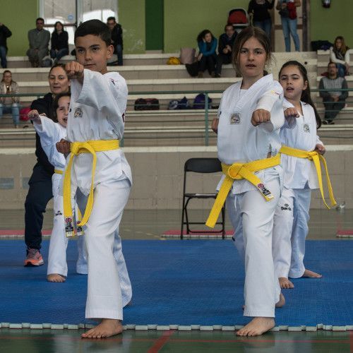 La modalidad Kyorugui de taekwondo disputa su ‘guman’ este sábado (foto 2)