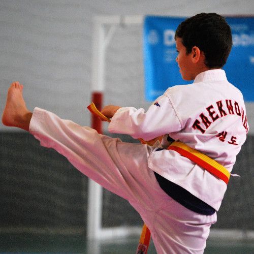 El taekwondo vuelve a La Laguna para celebrar su jornada final