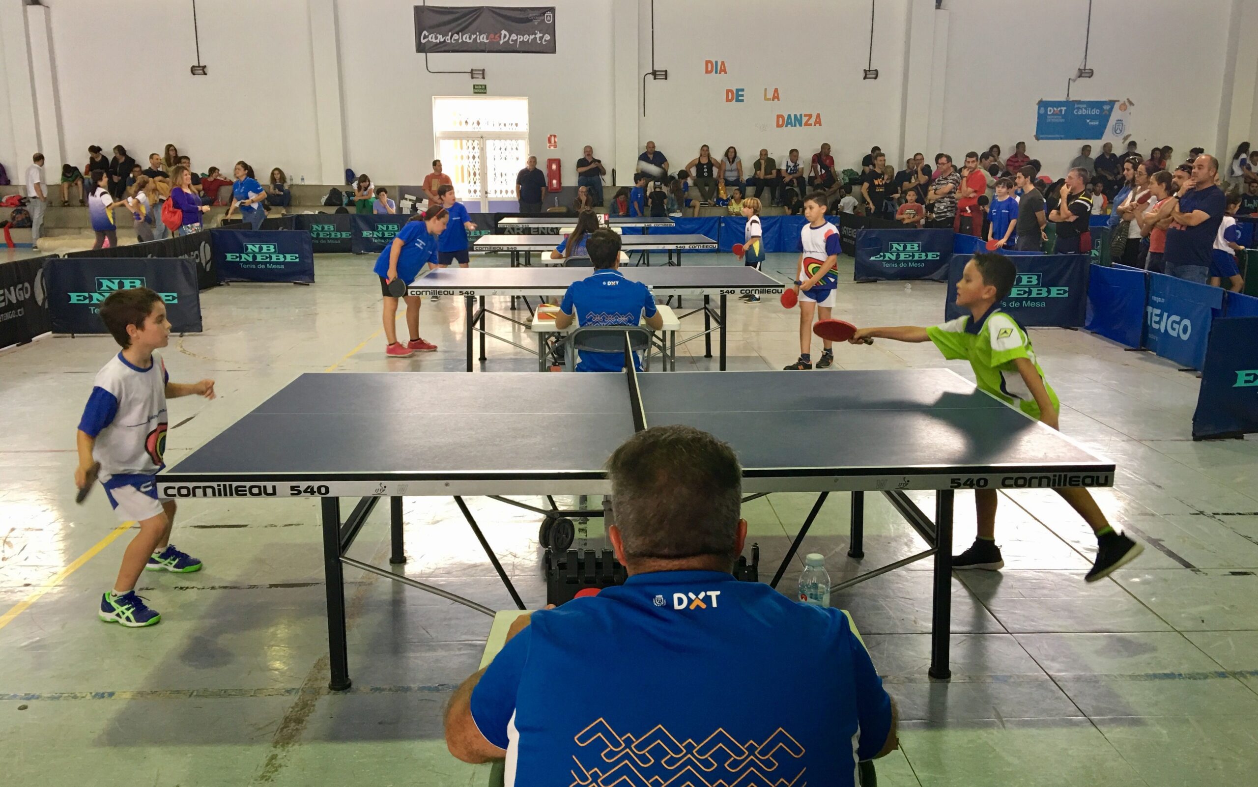 XXX Juegos Cabildo de Tenerife: Final de Tenis de Mesa