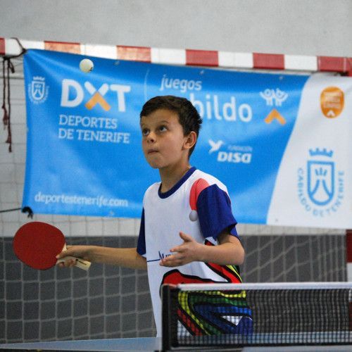 El IES Punta Larga será de nuevo escenario del tenis de mesa