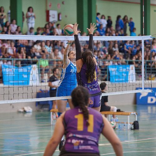 voleibol1