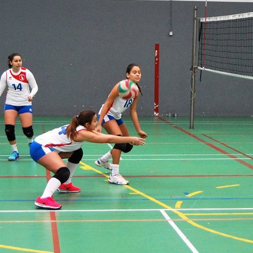 El voleibol sigue presumiendo de cantera