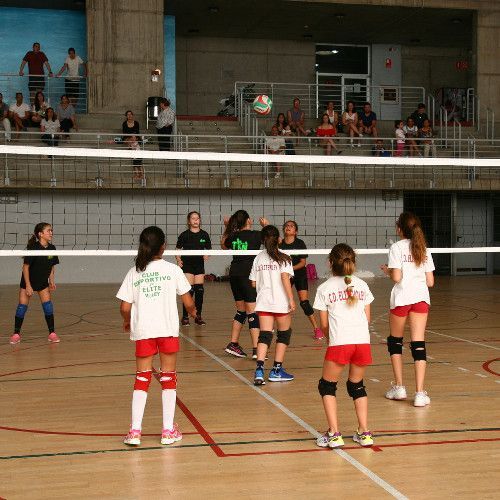 Este fin de semana continúa a buen ritmo el voleibol en los pabellones de Tenerife