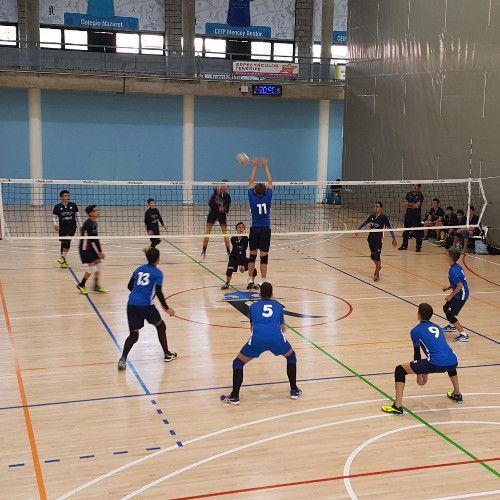 El voleibol de promoción no descansa
