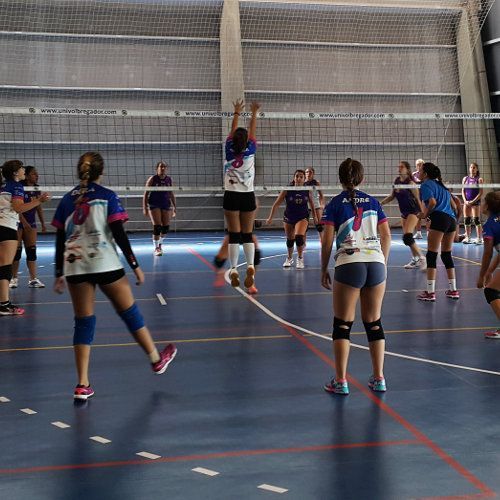voleibol2