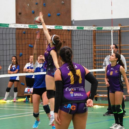 Más voleibol: próxima parada el 3 de diciembre