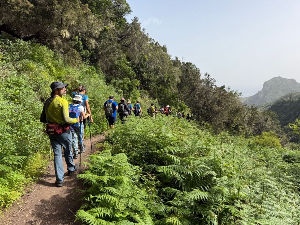 La tercera ruta de senderismo máster nos invita a recorrer las medianías de Candelaria